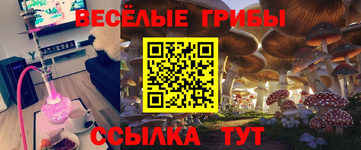 Галлюциногенные грибы MAGIC MUSHROOMS Кушва